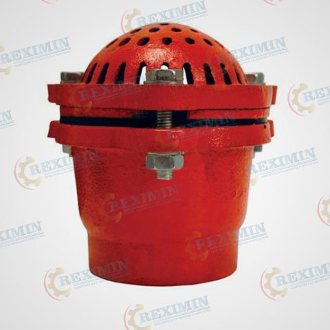 Válvula de Pie con Canastilla en Acero Forjado